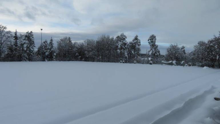 Kunstrasen: Stand Januar 2021